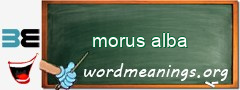 WordMeaning blackboard for morus alba